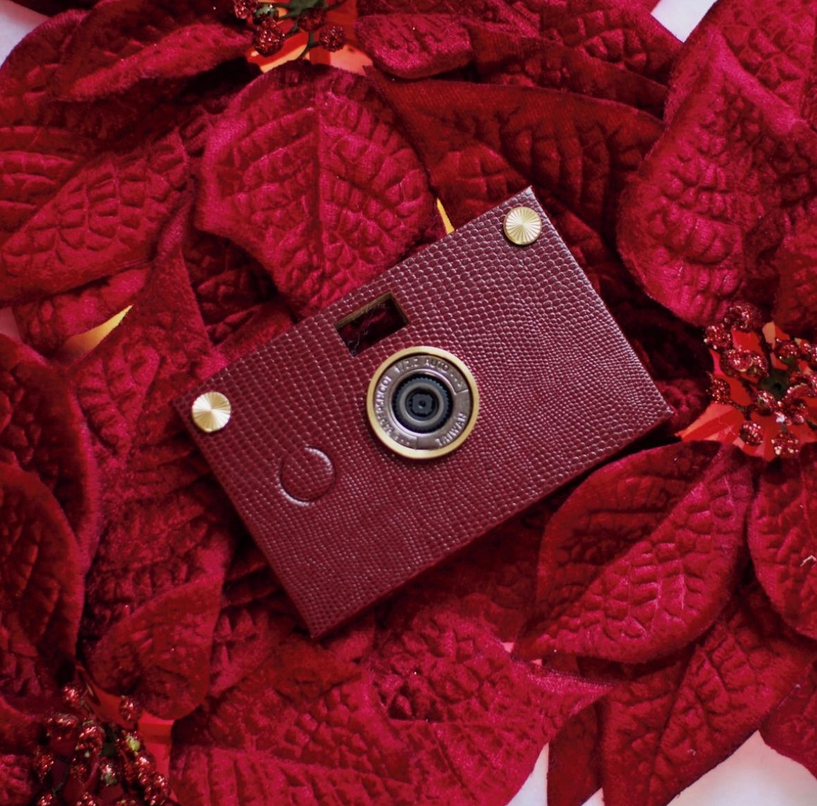 Paper Shoot Camera's Season of Savings! - Paper Shoot Camera